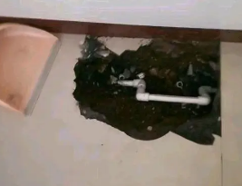 新余市卫生间测漏水多少钱